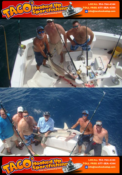 Captain Taco (954) 764-4344 or toll free @ (877) SEA-4344 tacohookedup@aol.com