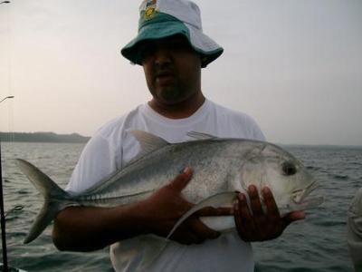 Giant Trevally