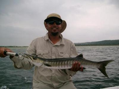 Sea Pike (Pick Handle Barracuda)