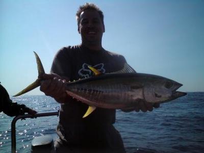 Yellow Fin Tuna