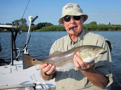 Keith McClintock, from Lake Forest, IL, caught and released this red on a weedless-rigged CAL shad tail while fishing shallow water in Sarasota Bay with Capt. Rick Grassett.
