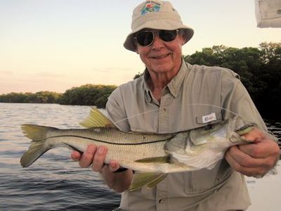 Keith McClintock, from Lake Forest, IL, caught and released this snook on a weedless-rigged CAL shad tail while fishing shallow water in Sarasota Bay with Capt. Rick Grassett.