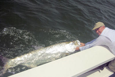 Kirk Grassett Sarasota fly tarpon