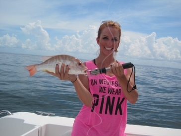 17-inch lane snapper