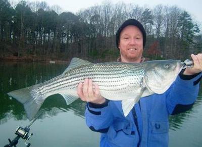Carl with a good Lake Sidney Lanier striped bass.