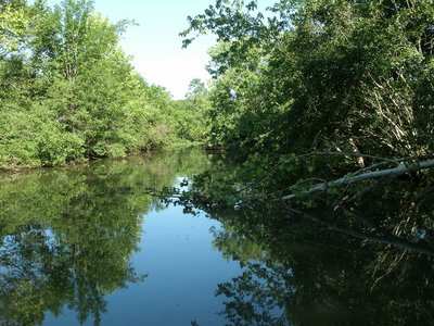 Current, shade and cooler water can be found in the backs of feeder creeks.