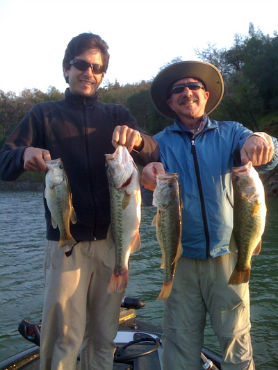 A few health Lake Sonoma Bass