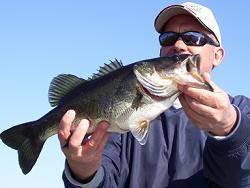 lake toho bass