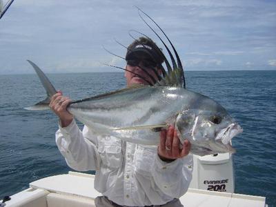 Larry Elliots First Rooster