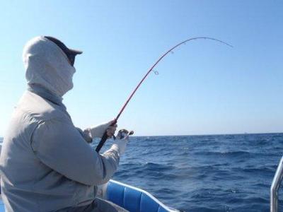Fighting a fish on light spinning tackle