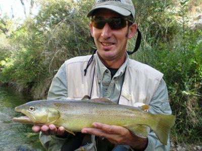 A brown Trout in latest season in lower reaches in Pyrenees Mountains