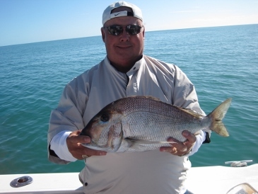 19 1/2 inch porgy
