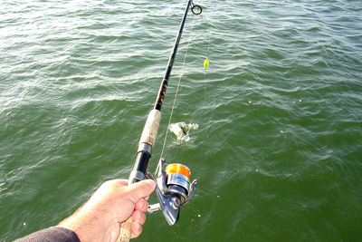 Fish - On Using a popping cork