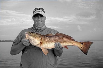 Nice Mosquito Lagoon Redfish