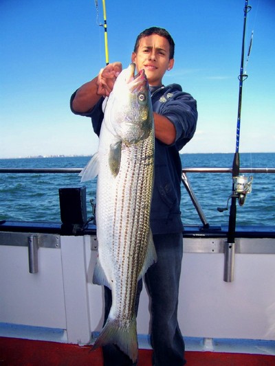 Nice Long Fish