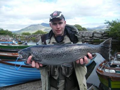 Wild specimen Seatrout