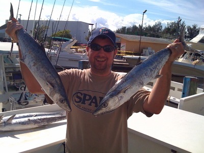 Typical Summer Kingfish