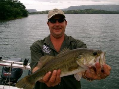 A nice LM Bass
