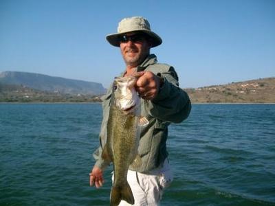 Bass on Weightless Fluke