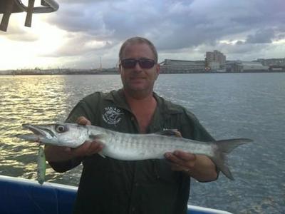 Sea Pike (Pick Handle Baracuda)