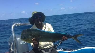 Bull Dorado (Mahi Mahi)