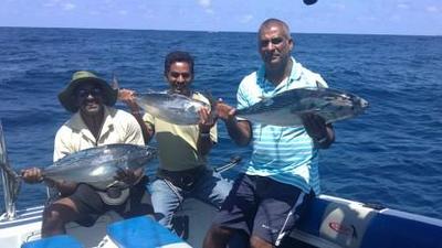 Triple Kawakawa Hook up