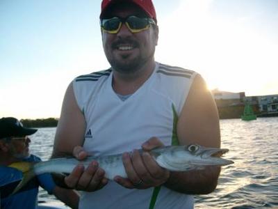 Sea Pike (Pick Handle Barracuda)