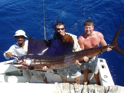 Sailfish