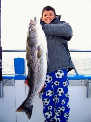 10 year old Markez/24 pounder