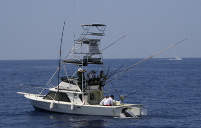 999.5 lbs of Blue Marlin at one time