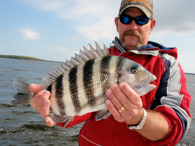 Sheepsheads were still biting on the coldest day of the week