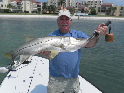 big 35 inch snook