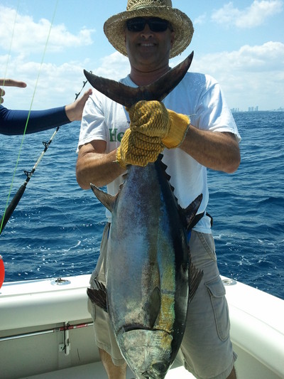 35# Blackfin Tuna