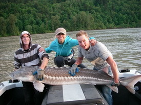 May 23 Sturgeon from Fraser river