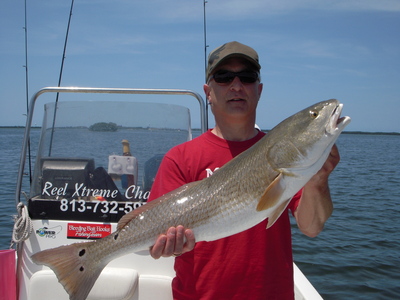 Over slot Redfish