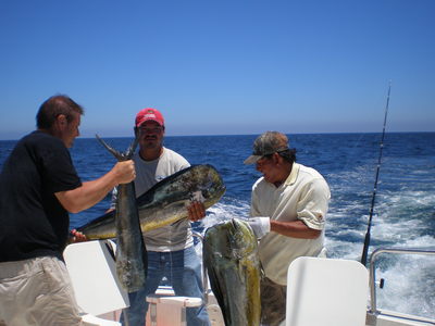 Dorado in Cabo