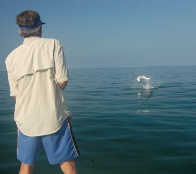 Mike Merritt's fly tarpon jump