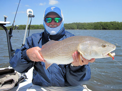 Mike Perez Sarasota Bay CAL shad red caught and released with Capt. Rick Grassett.