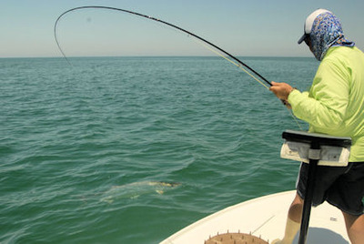Mike Perez Sarasota fly tarpon fight caught and released with Capt. Rick Grassett