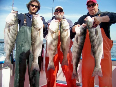 Mike, Tom and Gerry's Limit