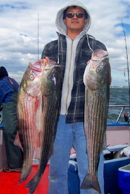 Mikes 3 Stripers