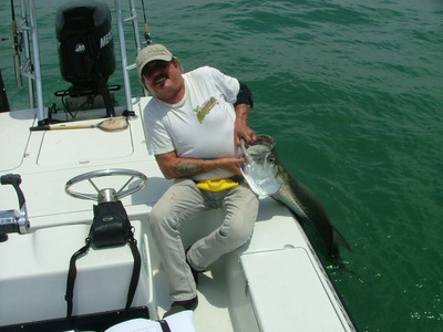 Mike's Tampa Bay Tarpon