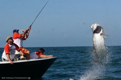 The Big One That Got Away!