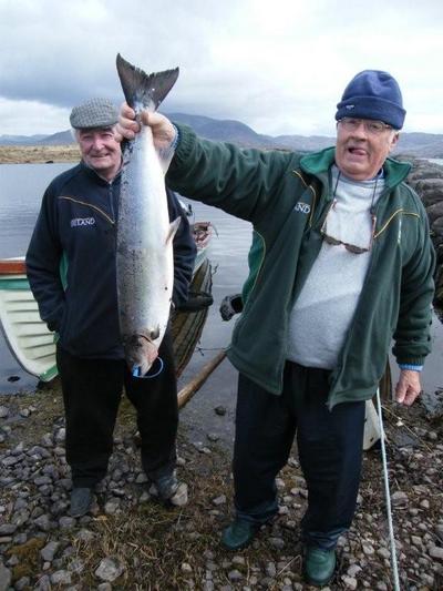 wild Atlantic Salmon