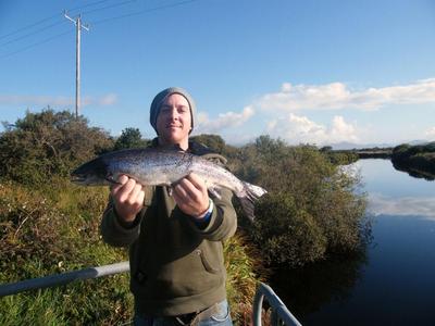 Wild Atlantic Salmon from the River Inny