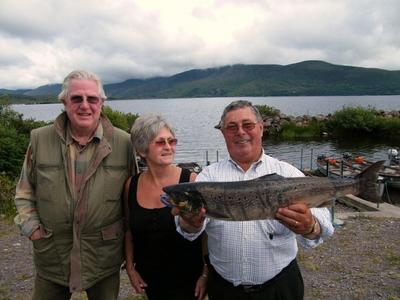 wild Atlantic salmon