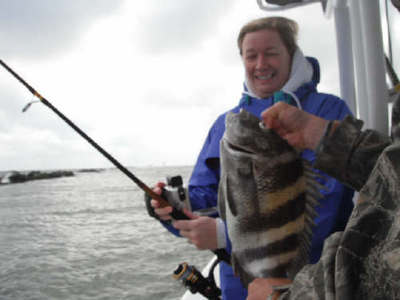 Mrs. larew sheephead