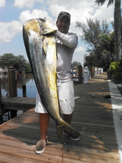 62 pound monster bull dolphin
