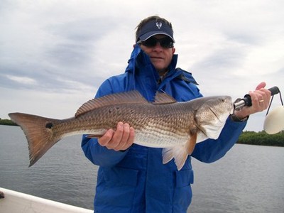 redfish