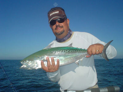Nick DelleDonne, from Lancaster, PA, with a nicle false albacore caught and released on a fly while fishing the coastal gulf in Sarasota, FL with Capt. Rick Grassett.